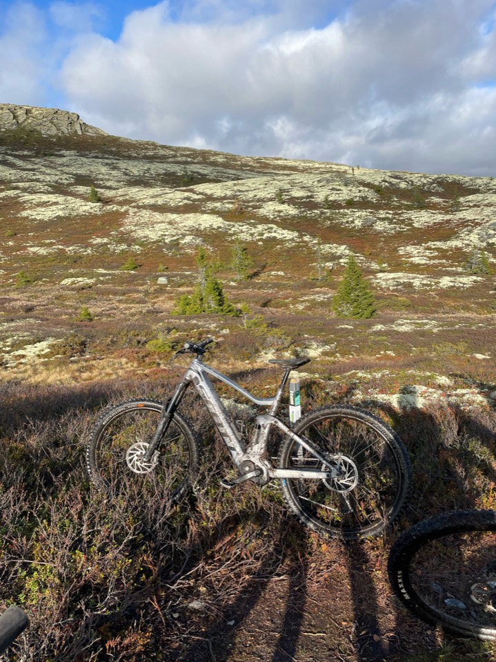 E-mountainbike Fully staat op een bergpad tussen lichtgroen mos en heide op het Ringebufjellet
