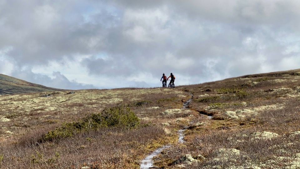 Twee fietsers op e-mountainbikes volgen een smal pad door het open fjell-landschap van Ringebu